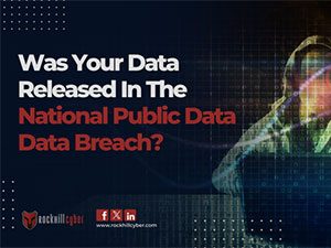 Was Your Information Compromised From The National Public Data Breach?